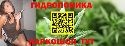 apvp Севастополь