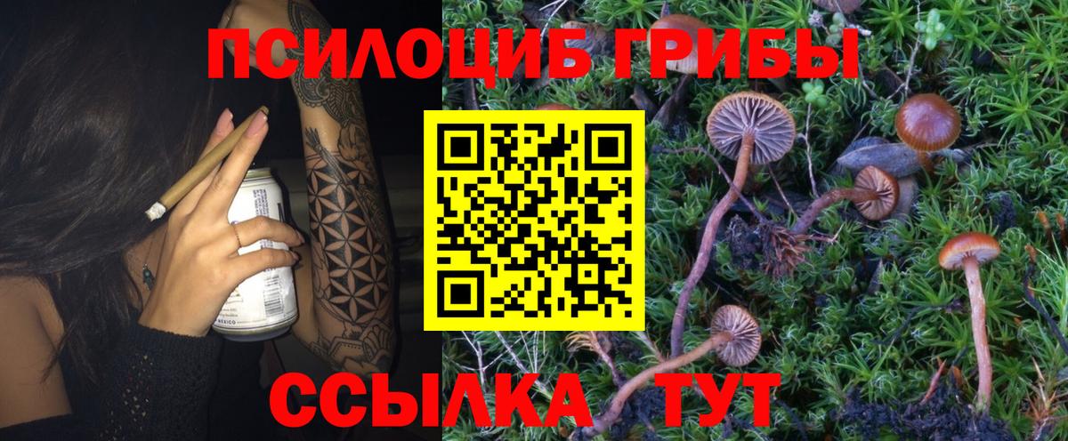 хочу наркоту  Вход с VPN  Россия  Галлюциногенные грибы GOLDEN TEACHER 